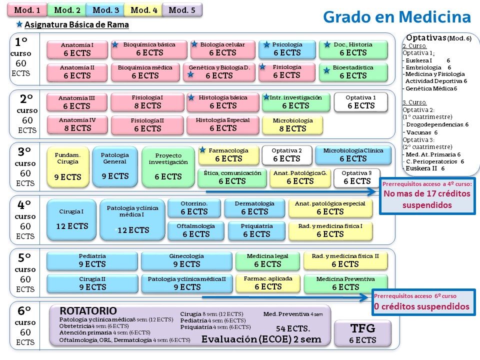 Medikuntzako Gradu-Masterraren eskema