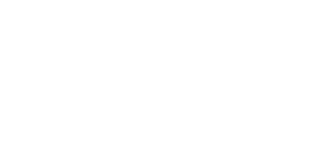 University of Brescia