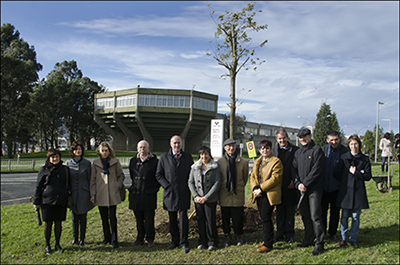 Acto de plantación del retoño del árbol de Gernika