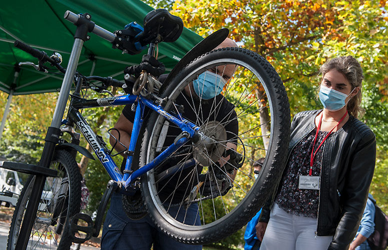 Taller bicicletas (Araba)