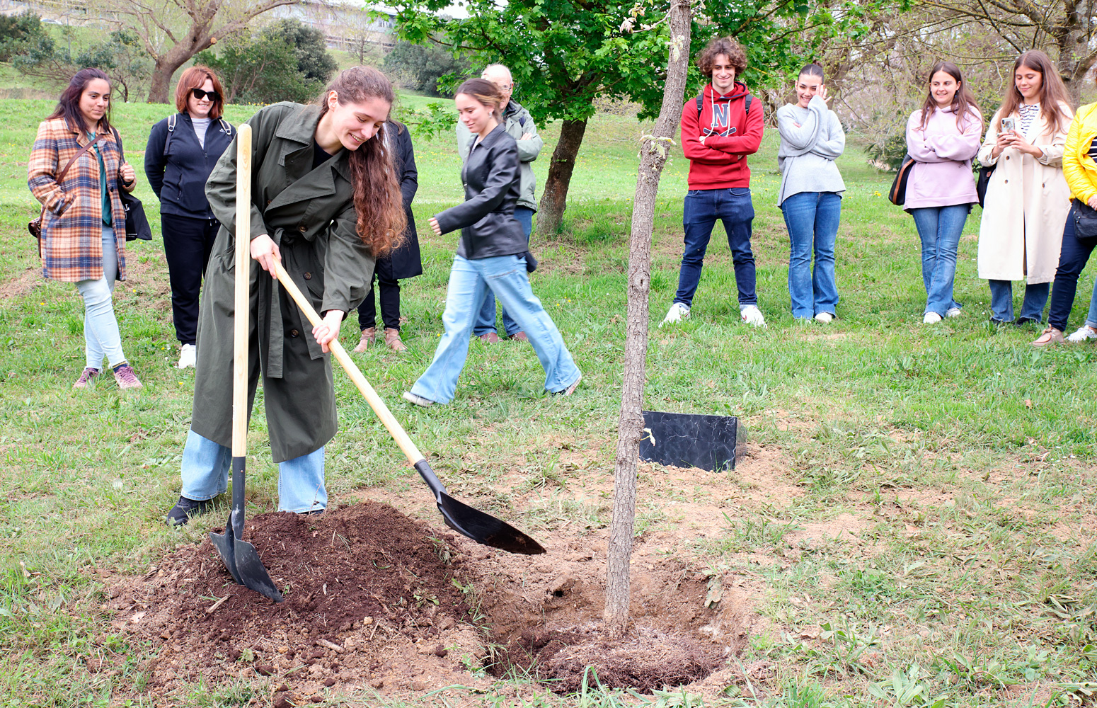 Día Internacional de los Bosques